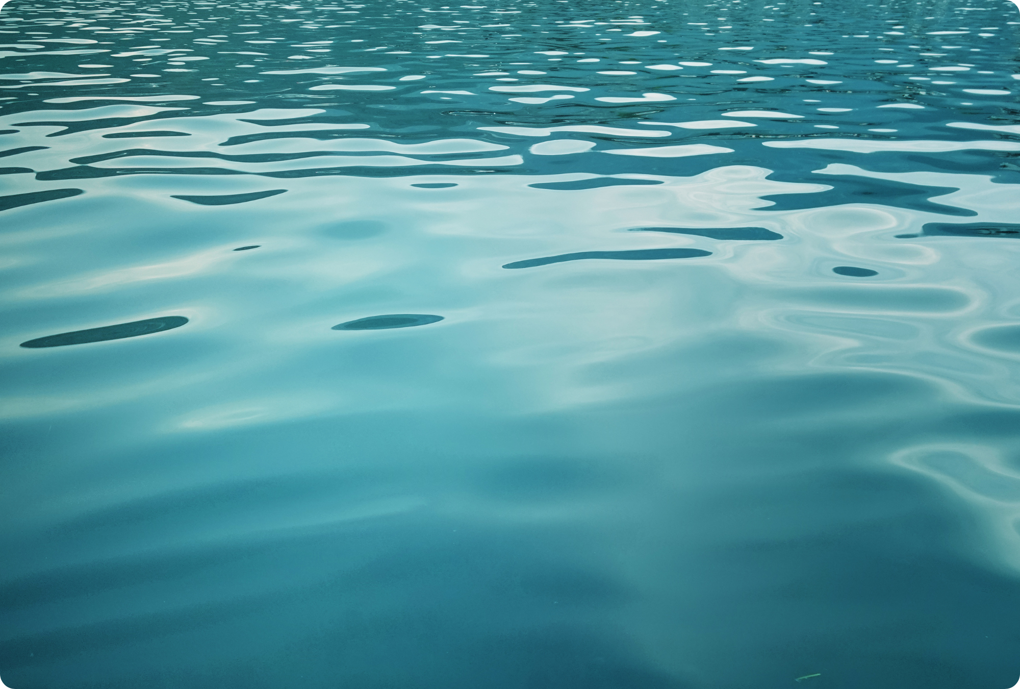 calm article